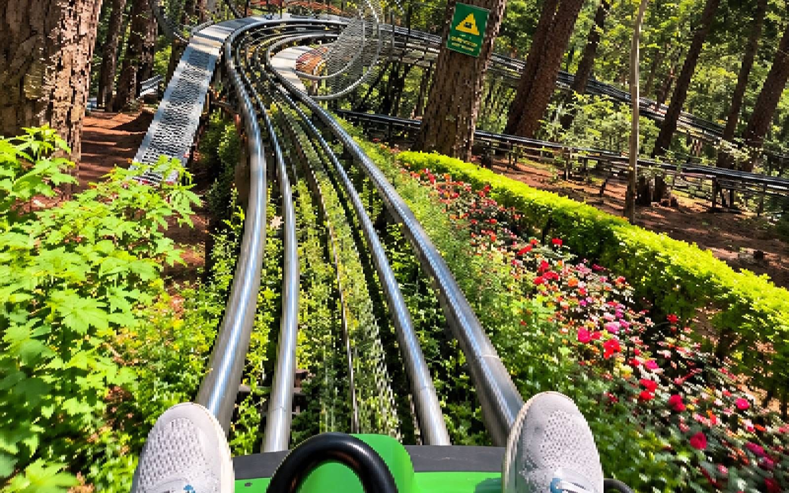 альпийские санки (Alpine Coaster) у водопада Датанла в Далате.