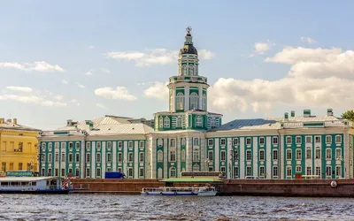 From the Grand Neva to Peter's Curiosities: Bus Tour with Kunstkamera Visit