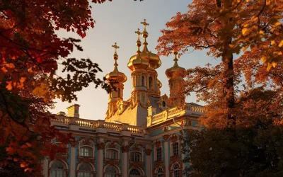 Grand Journey to the Imperial Residences (Pushkin, Pavlovsk, and Gatchina)